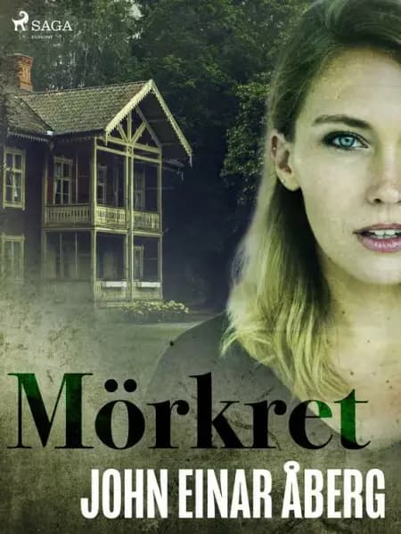 Mörkret af John Einar Åberg