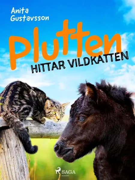 Plutten hittar vildkatten af Anita Gustavsson