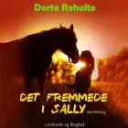 Det fremmede i Sally af Dorte Roholte