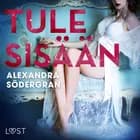 Tule sisään - eroottinen novelli af Alexandra Södergran