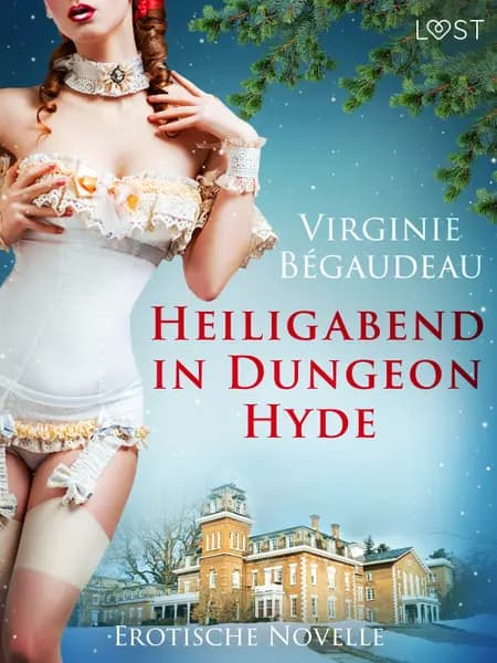 Heiligabend in Dungeon Hyde - Erotische Novelle af Virginie Bégaudeau