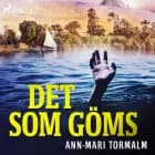 Det som göms af Ann-Mari Tormalm