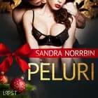 Peluri - eroottinen joulutarina af Sandra Norrbin