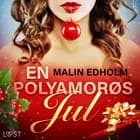 En Polyamorøs Jul - erotisk novelle af Malin Edholm