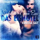 Das Eishotel 3 - Schlüssel aus Eis - Erotische Novelle af Vanessa Salt
