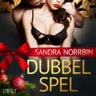 Dubbelspel - erotisk julnovell af Sandra Norrbin