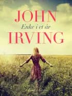Enke i et år af John Irving