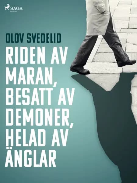 Riden av maran, besatt av demoner, helad av änglar af Olov Svedelid