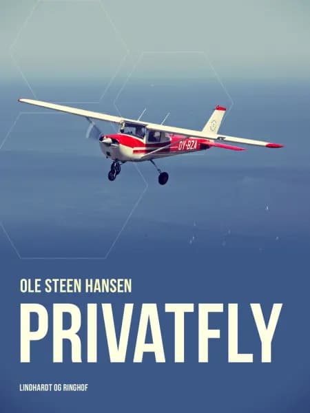 Privatfly af Ole Steen Hansen