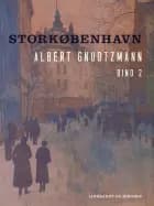 Storkøbenhavn. Bind 2 af Albert Gnudtzmann og Helmer Lind