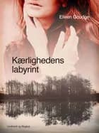Kærlighedens labyrint af Eileen Goudge
