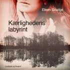 Kærlighedens labyrint af Eileen Goudge