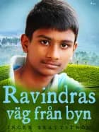 Ravindras väg från byn af Inger Brattström