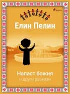 Напаст божия и други разкази af Елин Пелин