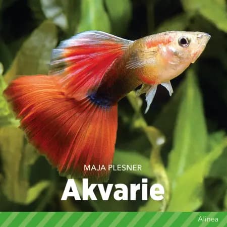 Akvarie af Maja Plesner