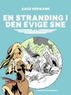 En stranding i den evige sne af Aage Hermann