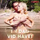 En dag vid havet af Cupido