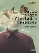 David Feldts efterladte papirer af Mads Brenøe