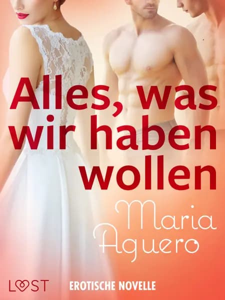 Alles, was wir haben wollen - Erotische Novelle af Maria Aguero