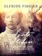 Sorte Stefan. Fortælling fra den jydske halvø af Elfride Fibiger