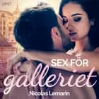 Sex för galleriet - erotisk novell af Nicolas Lemarin