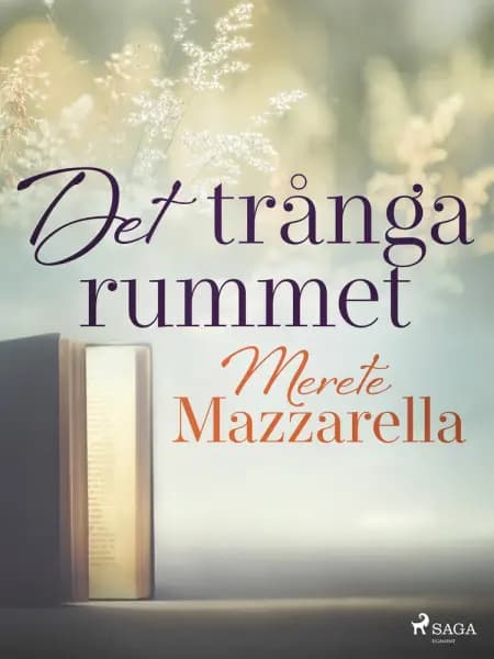 Det trånga rummet af Merete Mazzarella
