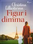 Figur i dimma af Christina Lilliestierna