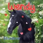 Wendy – Shadow af Diverse