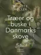 Træer og buske i Danmarks skove af Birgitte Møller