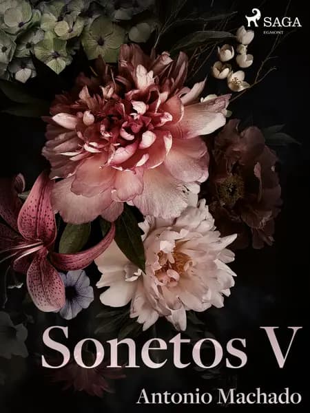 Sonetos V af Antonio Machado