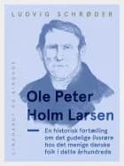 Ole Peter Holm Larsen, en historisk fortælling om det gudelige livsrøre hos det menige danske folk i dette århundrede af Ludvig Schrøder