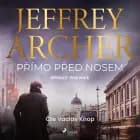 Přímo před nosem af Jeffrey Archer