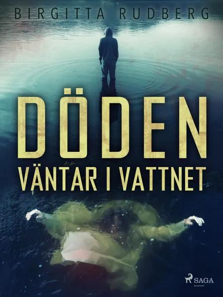 Döden väntar i vattnet af Birgitta Rudberg