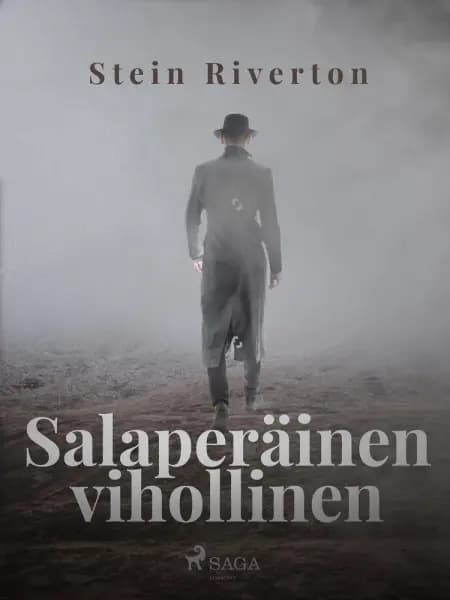 Salaperäinen vihollinen af Stein Riverton