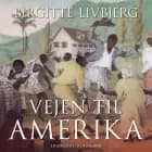 Vejen til Amerika af Birgitte Livbjerg