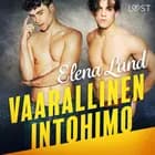 Vaarallinen intohimo - eroottinen novelli af Elena Lund