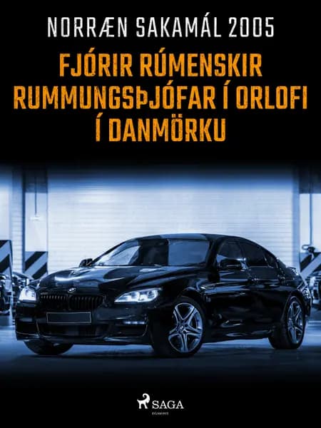 Fjórir rúmenskir rummungsþjófar í orlofi í Danmörku af Ýmsir