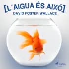 L´aigua és aixó af David Foster Wallace