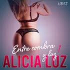Entre sombra y luz 1 - un cuento corto erótico af Alicia Luz