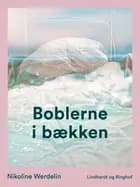 Boblerne i bækken