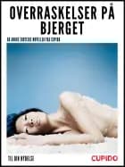 Overraskelser på bjerget - og andre erotiske noveller fra Cupido af Cupido