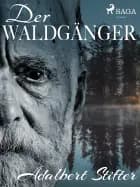 Der Waldgänger af Adalbert Stifter