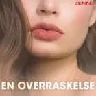 En overraskelse - erotiske noveller af Cupido