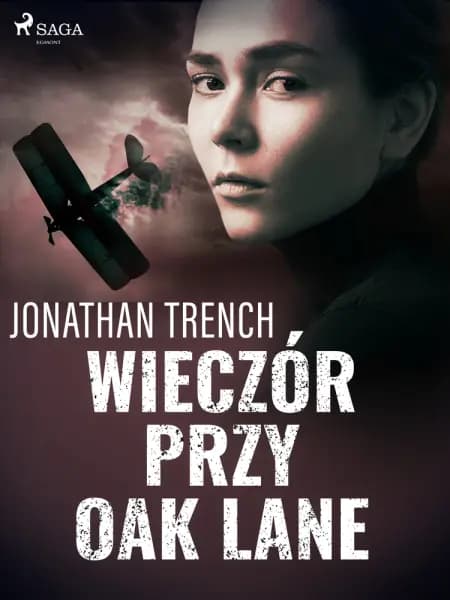 Wieczór przy Oak Lane af Jonathan Trench