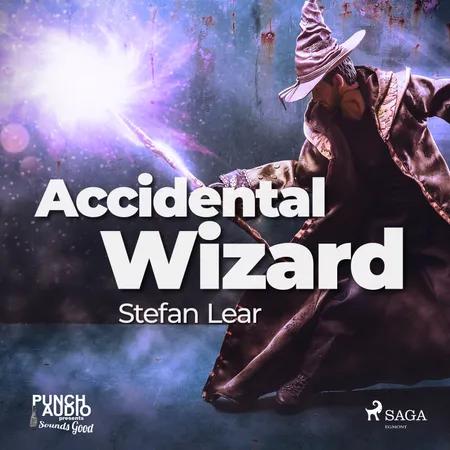 Accidental Wizard af Stefan Lear
