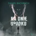 Na dnie upadku af Daniel Bachrach