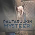 Rautaruukin mysteeri af Kaarlo Erho