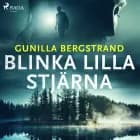 Blinka lilla stjärna af Gunilla Bergstrand