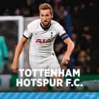 Tottenham Hotspur F.C. af Maja Plesner