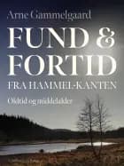 Fund og fortid fra Hammel-kanten. Oldtid og middelalder af Arne Gammelgaard
